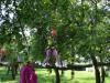 dsc04001_t1.jpg