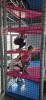 20250416_123959_copy_t1.jpg